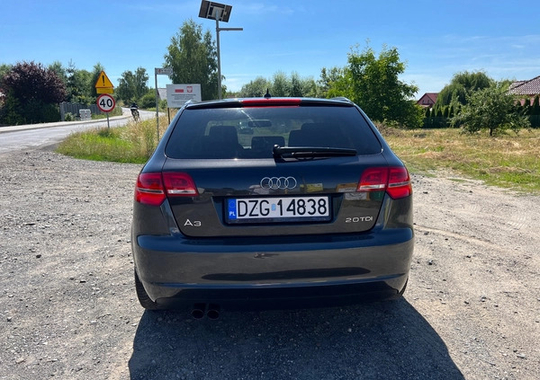 Audi A3 cena 21999 przebieg: 316050, rok produkcji 2008 z Wrocław małe 121